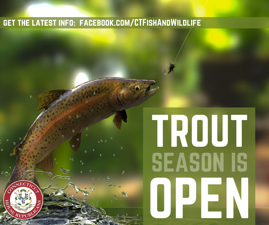 Trout fishing season begins